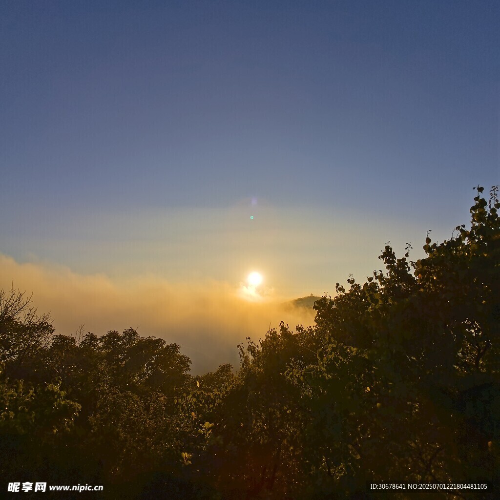 日出時分的山林美景