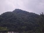 青山蔥郁的自然景致
