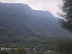 青山蔥郁的山間景致