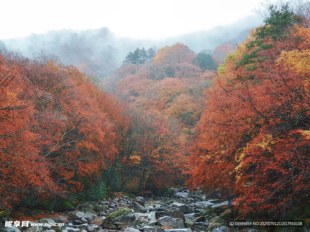 雨霧光霧山