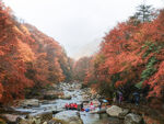 雨霧光霧山