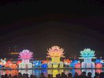 絢麗多彩的夜間花卉造型燈