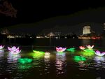 夜湖中的多彩發(fā)光蓮花燈