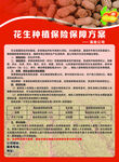 花生種植保險保障方案