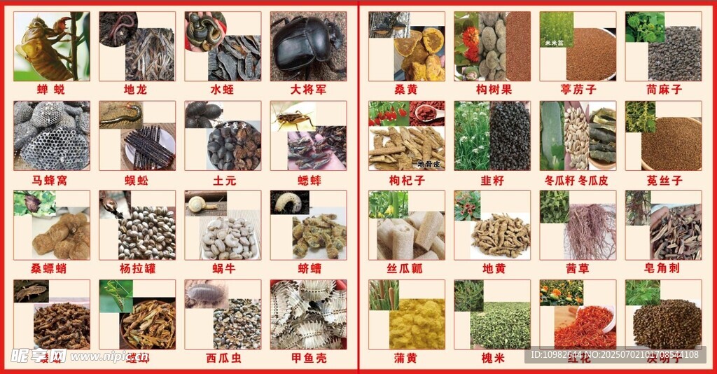 中藥材大全