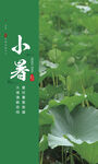 小暑海報