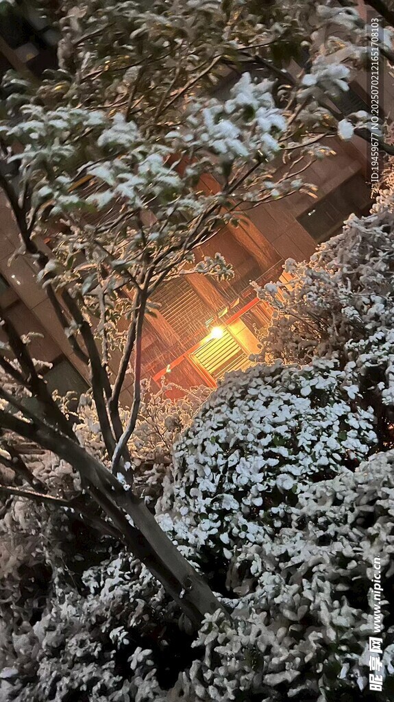 雪覆樹枝間的溫暖火光