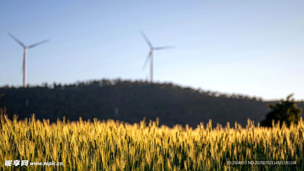 田野上的風力發電機
