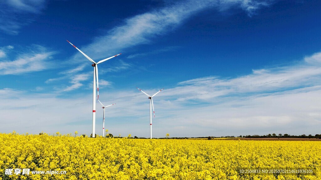 油菜花海中的風力發(fā)電機