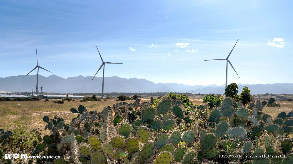 田野中的風力發(fā)電機與植被
