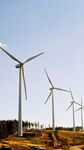 田野上的風力發(fā)電機組