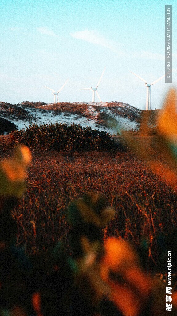 秋日曠野美景