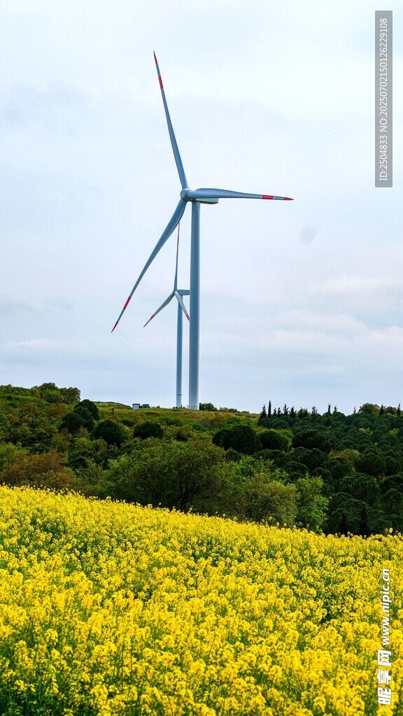 油菜花海中的風(fēng)力發(fā)電機(jī)