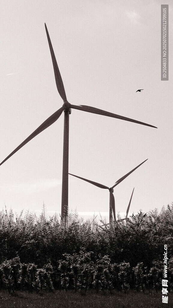 田野中的風力發電機