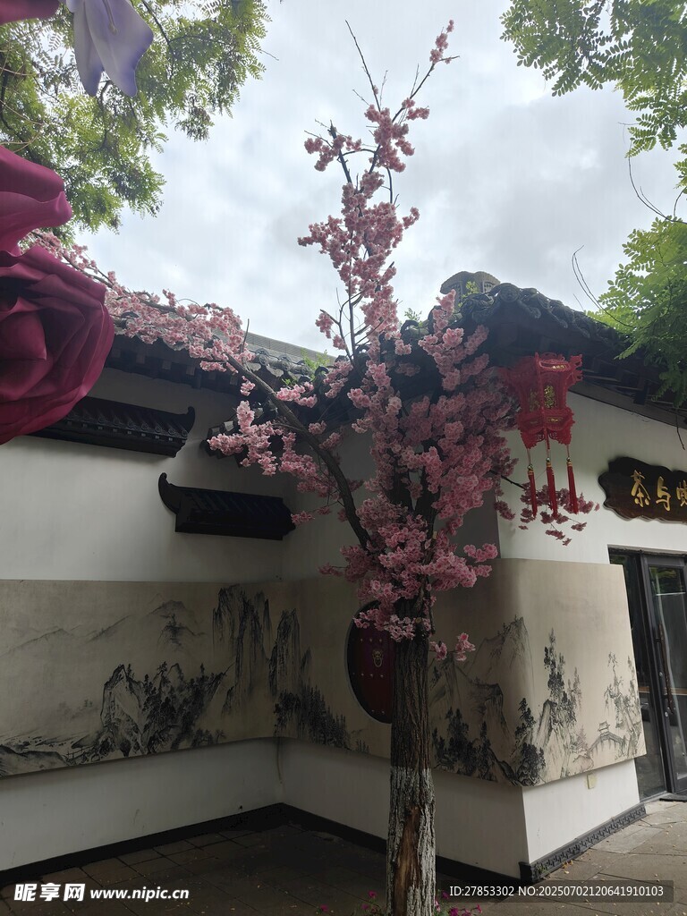 中式庭院中的繁花小樹
