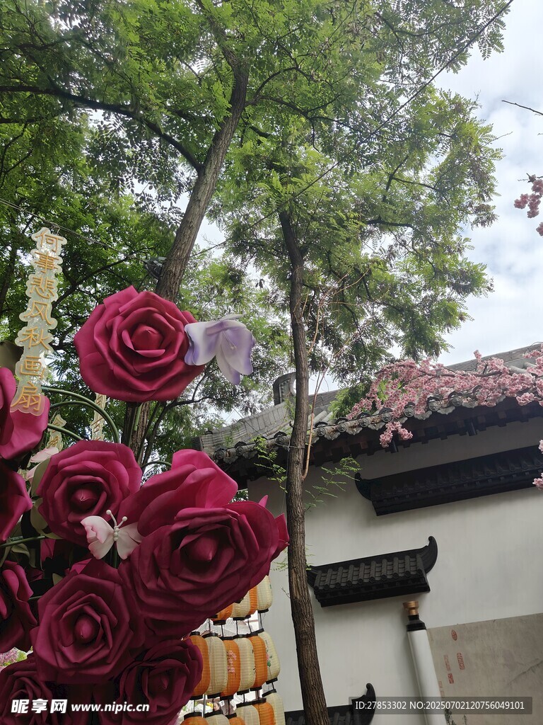 中式建筑旁的艷麗紅玫瑰