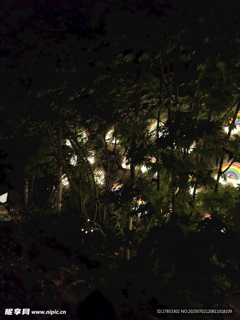 夜晚樹林中的點(diǎn)點(diǎn)燈光