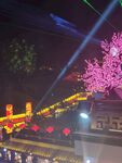 夜賞繁花與古建燈光秀