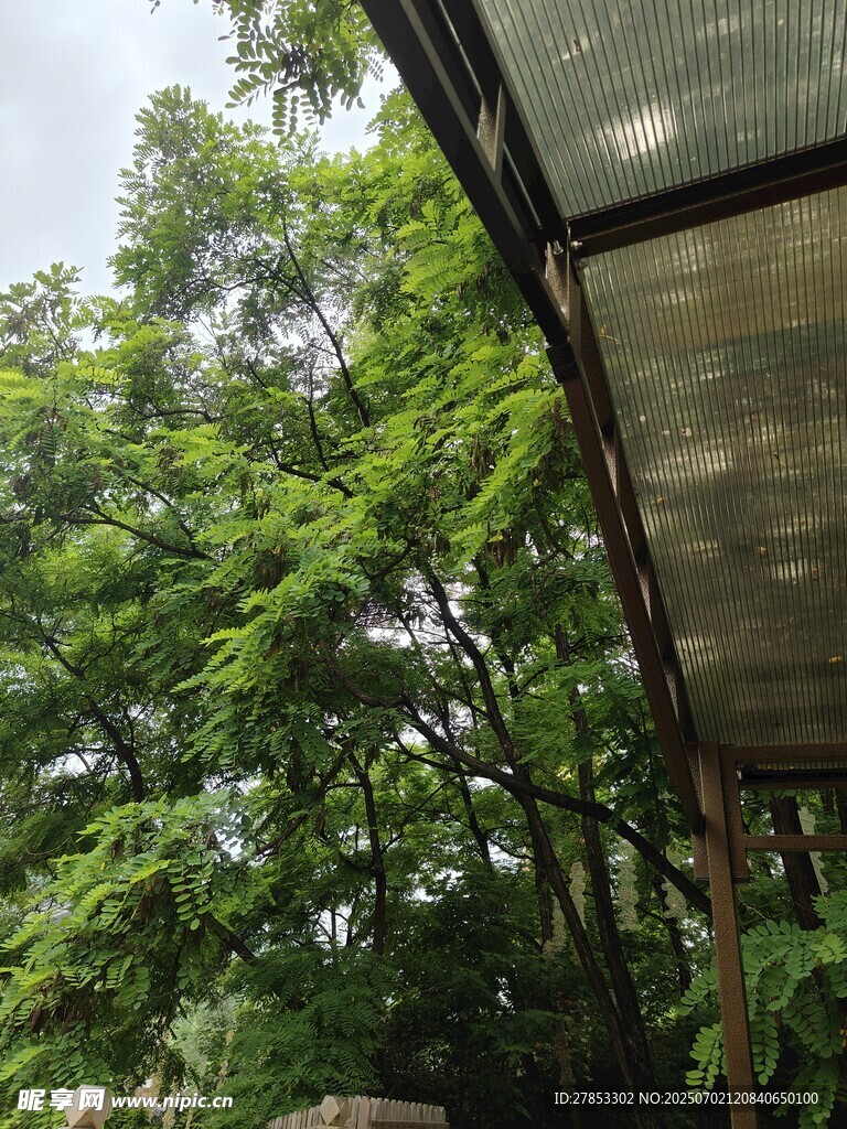 綠蔭下的戶外遮陽棚