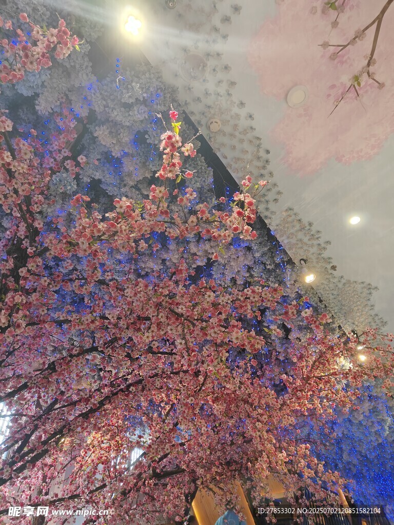 夜下絢爛櫻花樹