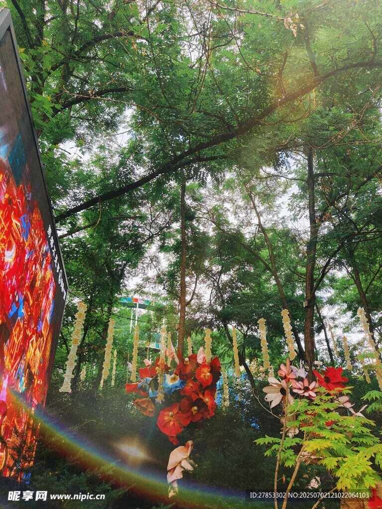 森林中的多彩裝飾景觀