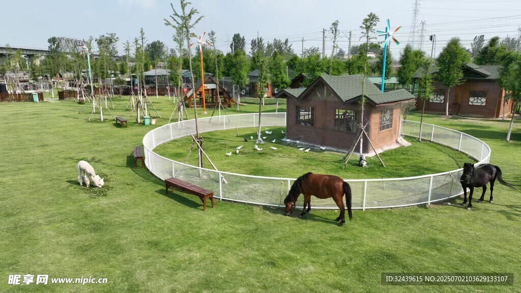 田園牧場風光駿馬悠然