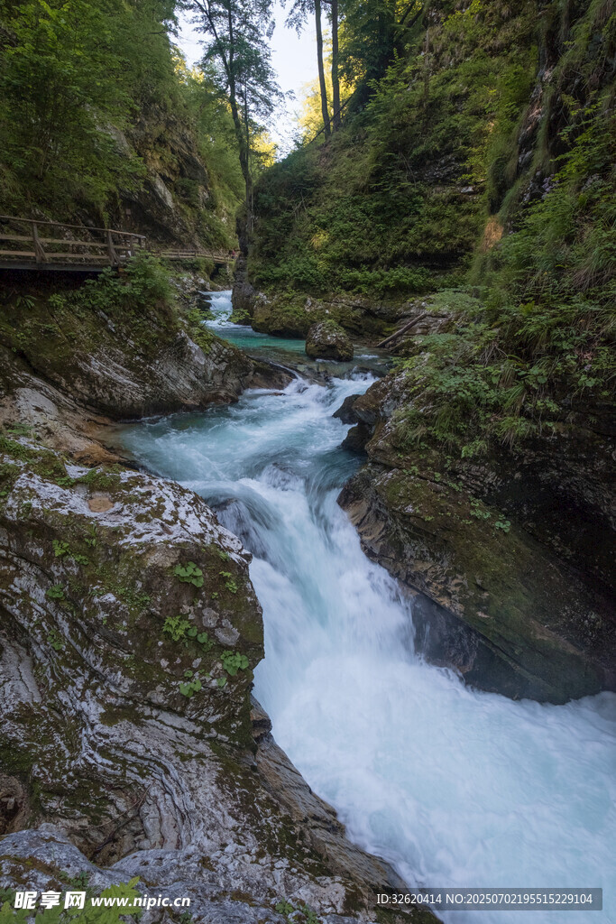 山間溪流潺潺 綠意盎然