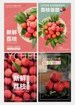 荔枝海報