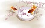 瓷盤中游弋的美麗金魚