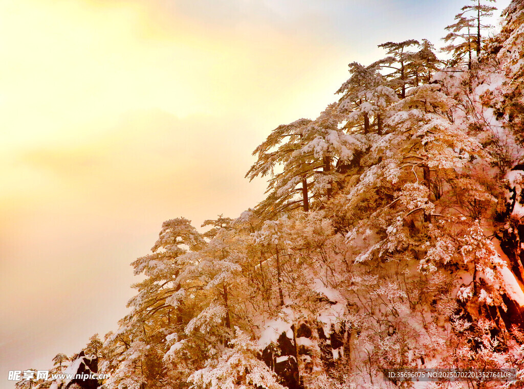 雪覆山林的絢爛霞光時刻