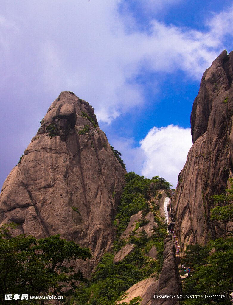 巍峨山峰與蔥郁植被景觀