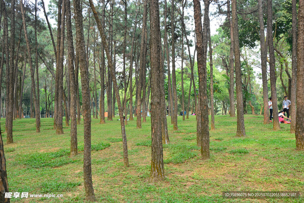 深圳筆架山公園