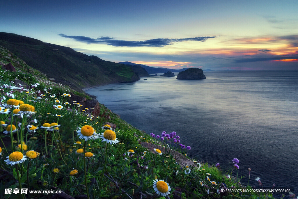 海邊花海日落美景