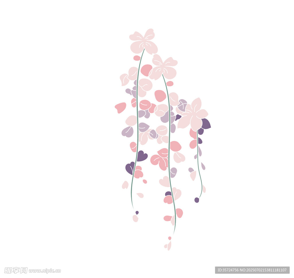 藤曼花