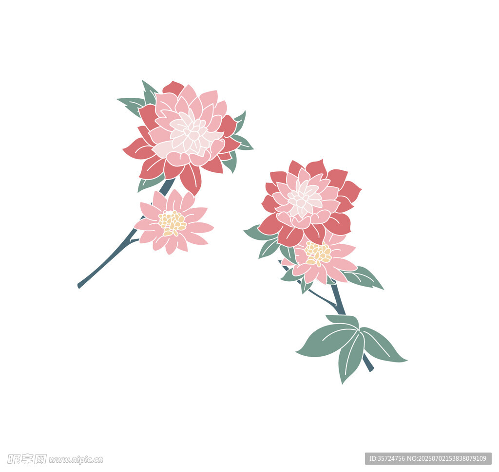 花朵