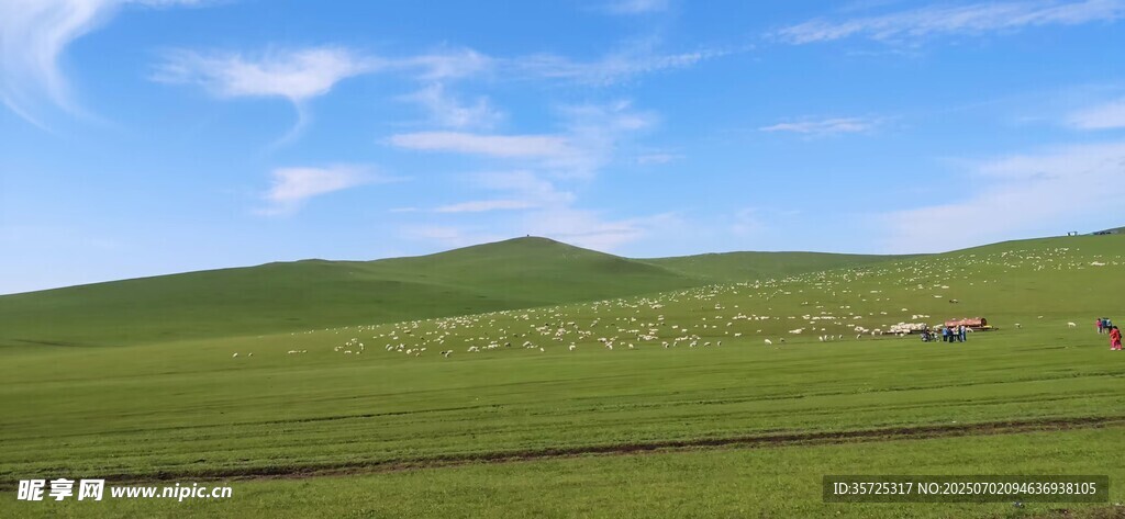 草原風(fēng)光牛羊點綴美景