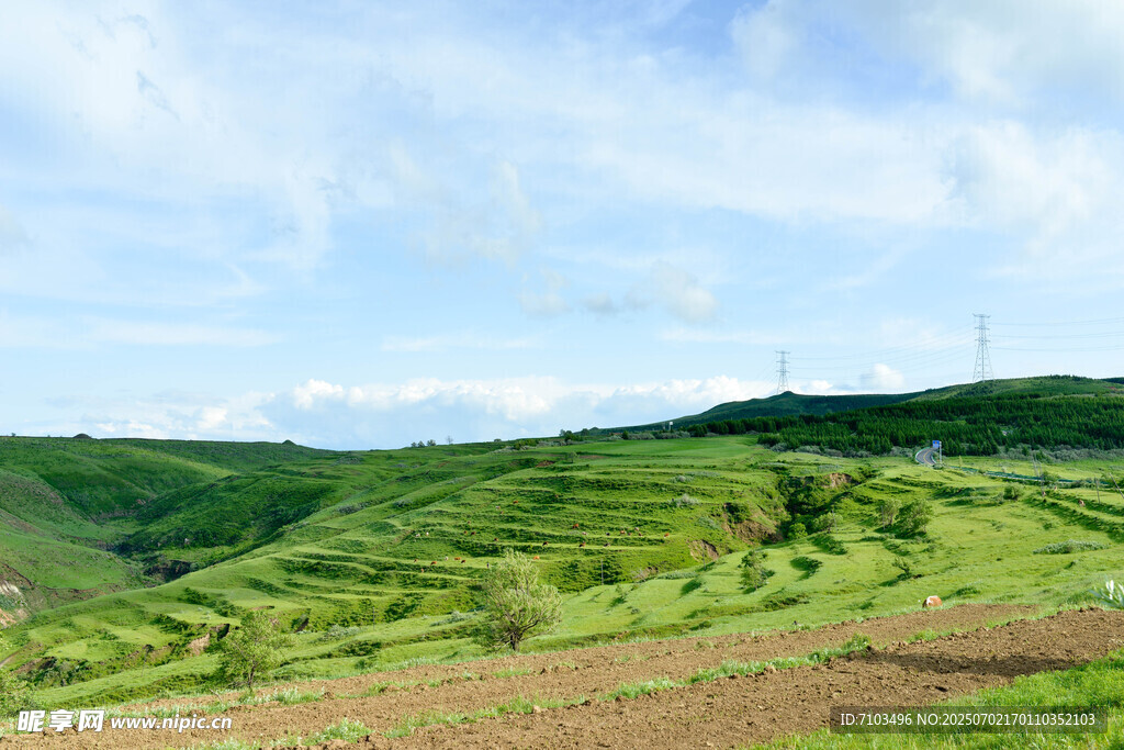 翠綠山丘田園風光美景