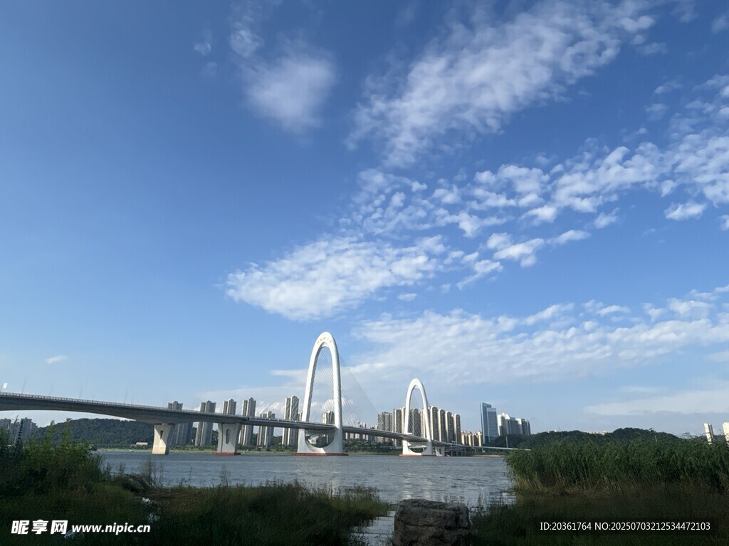 城市橋梁與天際線美景