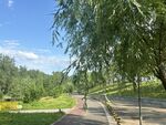 夏日公園林蔭小路美景