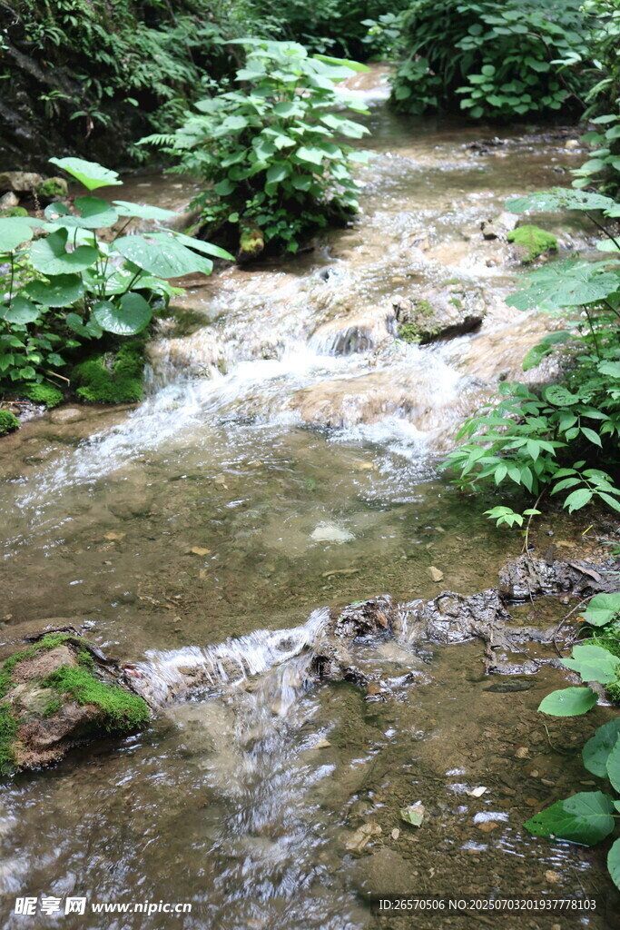 洛陽 重渡溝