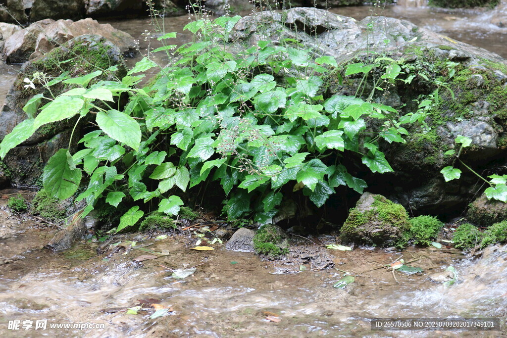 洛陽 重渡溝