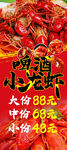 麻辣小龍蝦價格展示