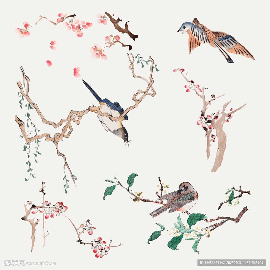 花鳥枝頭圖
