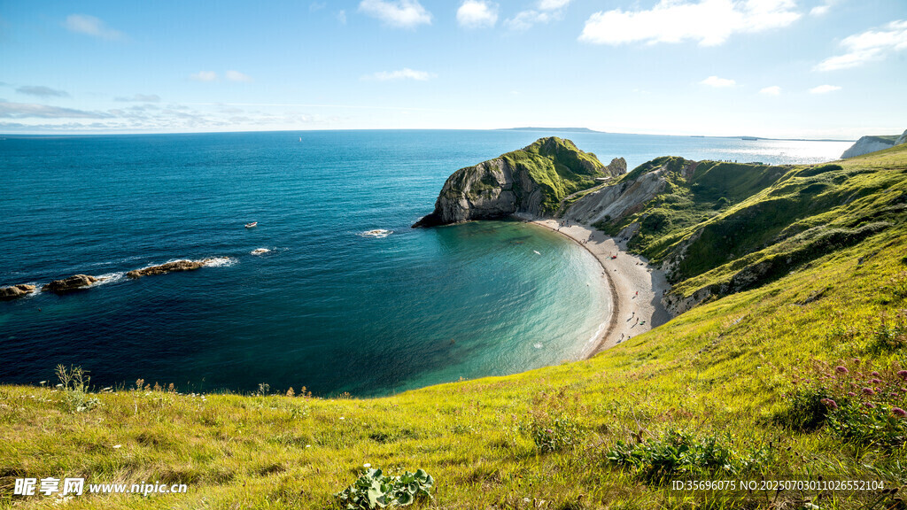 海岸綠野美景