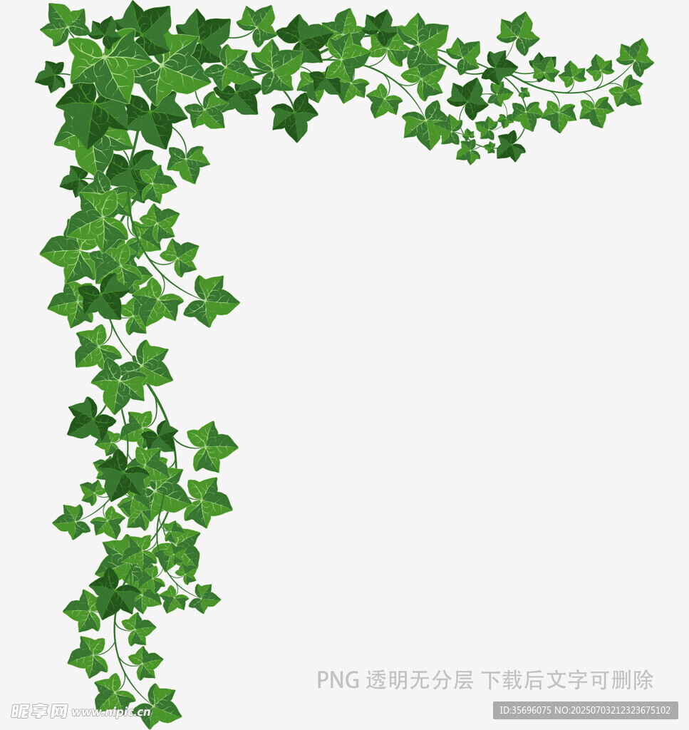 綠色三葉草藤蔓裝飾圖案