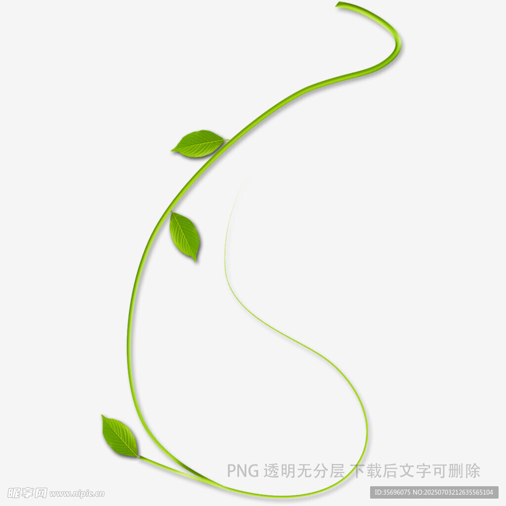綠色藤蔓植物簡約圖形設(shè)計(jì)