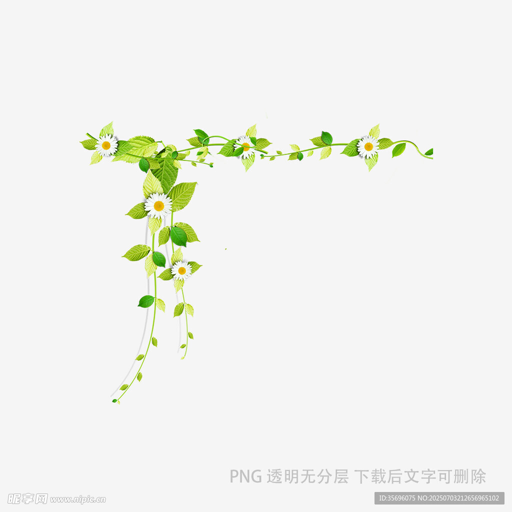 綠色藤蔓裝飾圖案
