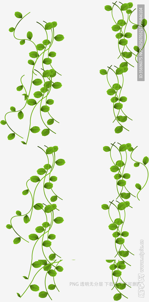 綠色藤蔓植物裝飾圖案