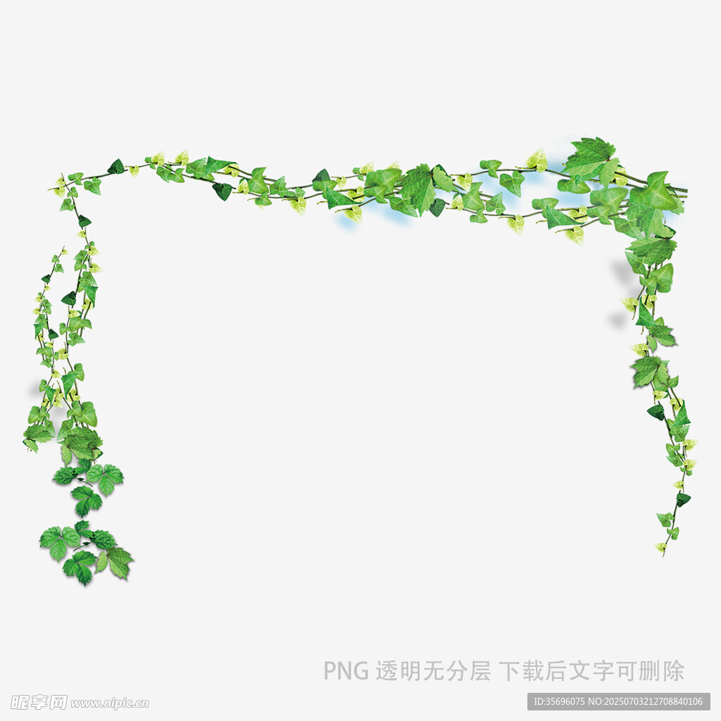 綠色藤蔓裝飾邊框圖案