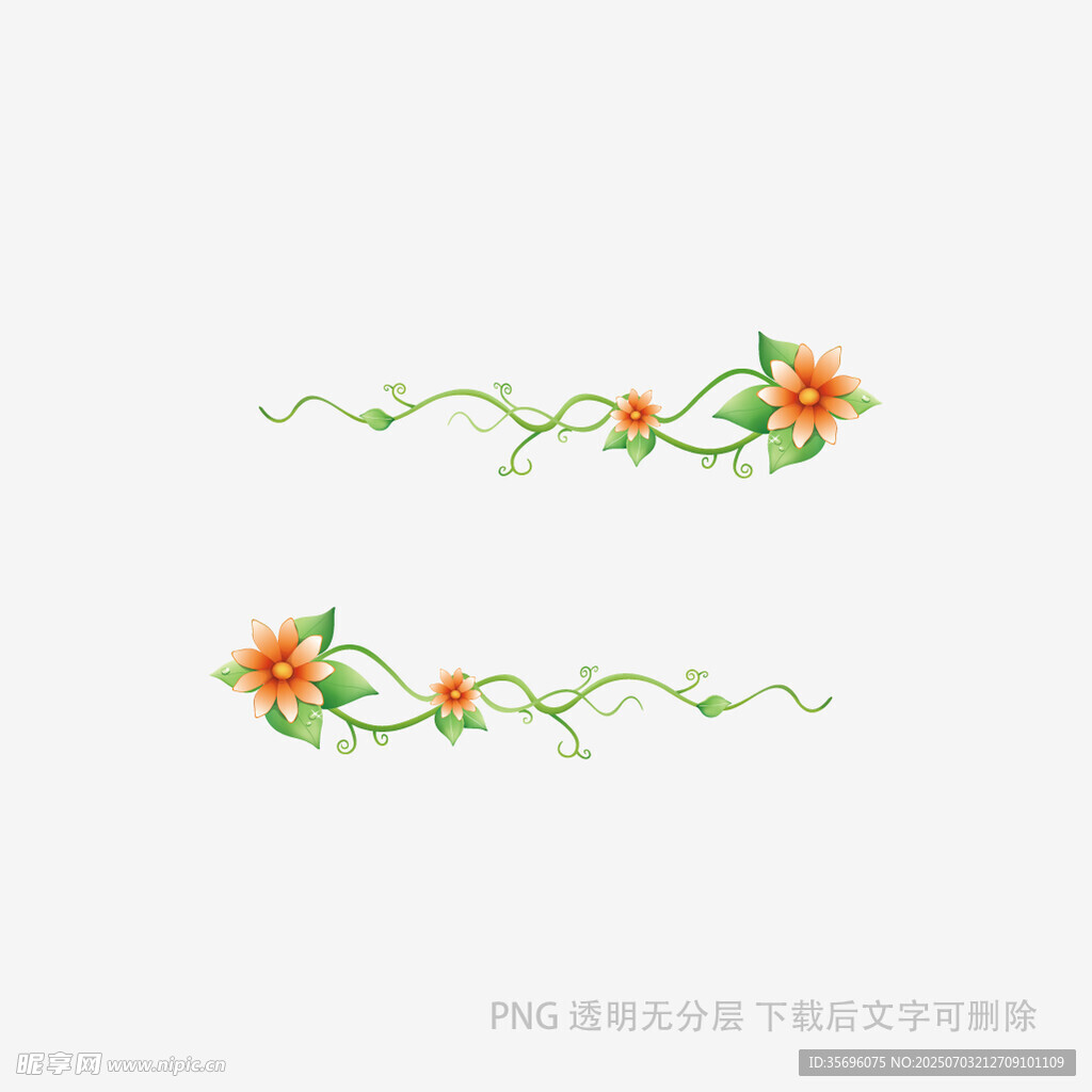 花卉藤蔓裝飾圖案